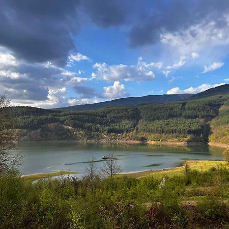Zavojsko Jezero - Vila Jezero ピロト エクステリア 写真