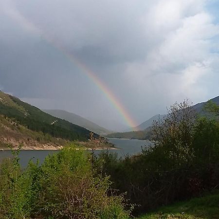 Zavojsko Jezero - Vila Jezero ピロト エクステリア 写真