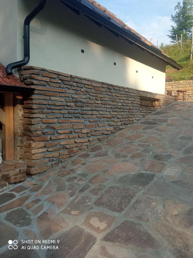 Zavojsko Jezero - Vila Jezero ピロト エクステリア 写真