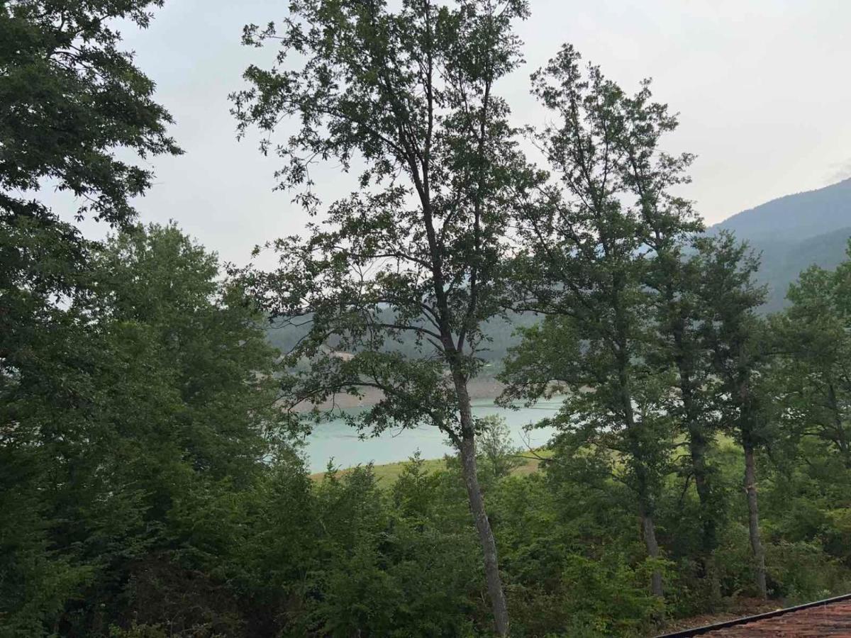 Zavojsko Jezero - Vila Jezero ピロト エクステリア 写真