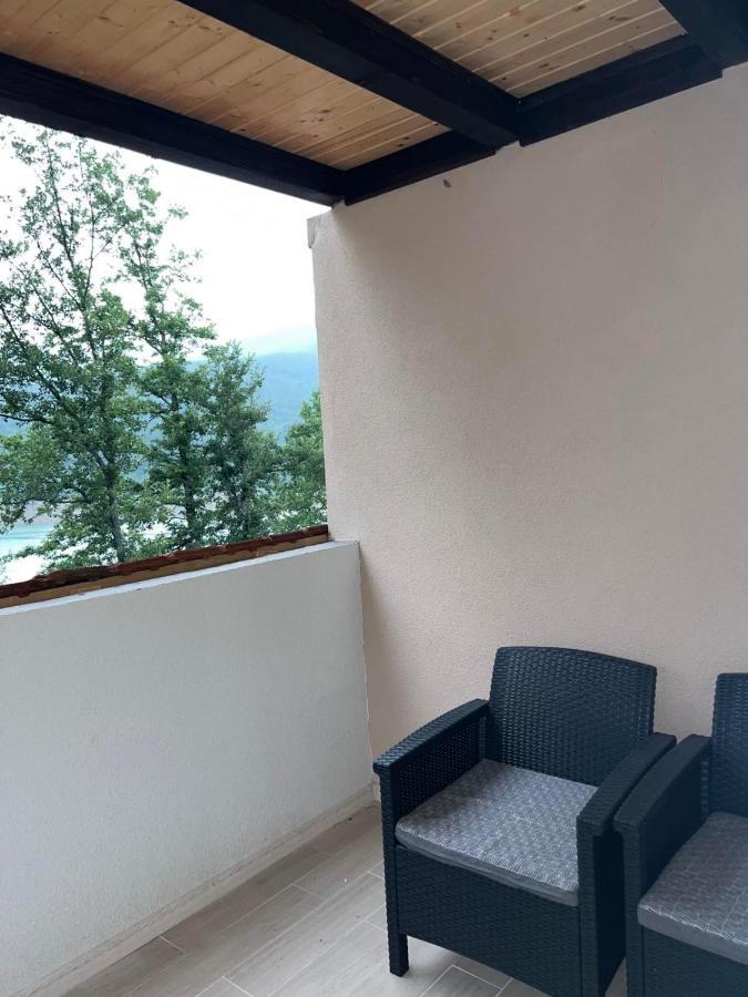 Zavojsko Jezero - Vila Jezero ピロト エクステリア 写真
